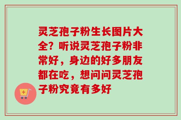灵芝孢子粉生长图片大全？听说灵芝孢子粉非常好，身边的好多朋友都在吃，想问问灵芝孢子粉究竟有多好