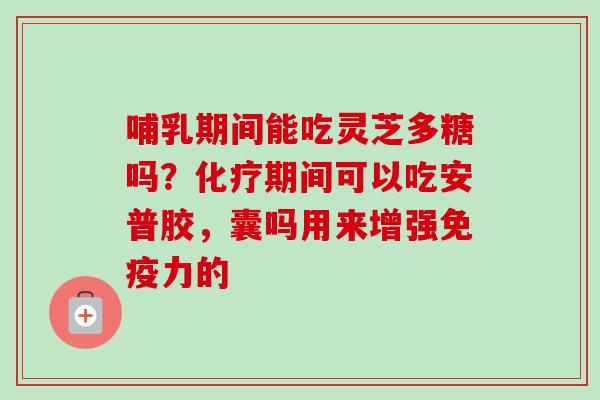 哺乳期间能吃灵芝多糖吗？期间可以吃安普胶，囊吗用来增强免疫力的