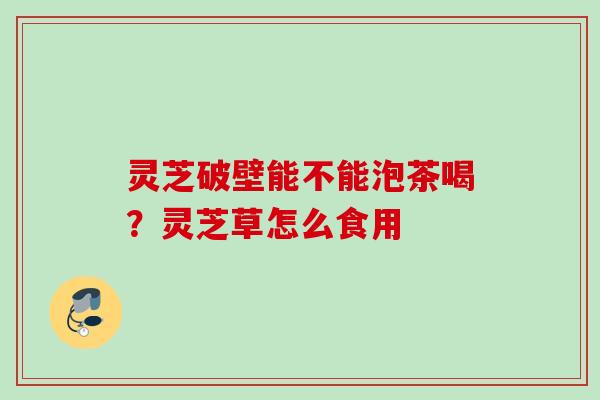 灵芝破壁能不能泡茶喝？灵芝草怎么食用