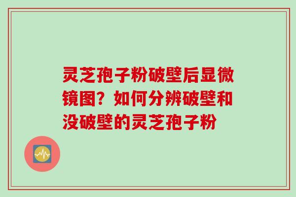 灵芝孢子粉破壁后显微镜图?如何分辨破壁和没破壁的灵芝孢子粉 灵芝孢子粉破壁后显微镜图?如何分辨破壁和没破壁的灵芝孢子粉