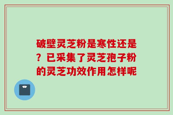 破壁灵芝粉是寒性还是？已采集了灵芝孢子粉的灵芝功效作用怎样呢