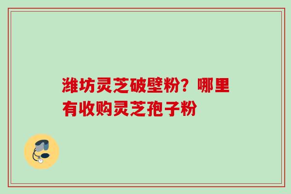 潍坊灵芝破壁粉？哪里有收购灵芝孢子粉