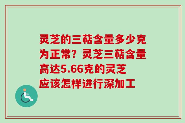 灵芝的三萜含量多少克为正常？灵芝三萜含量高达5.66克的灵芝应该怎样进行深加工