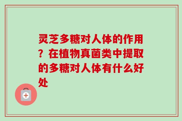 灵芝多糖对人体的作用？在植物真菌类中提取的多糖对人体有什么好处
