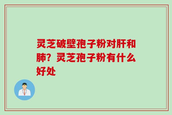 灵芝破壁孢子粉对肝和肺？灵芝孢子粉有什么好处