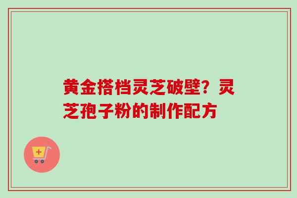 黄金搭档灵芝破壁？灵芝孢子粉的制作配方
