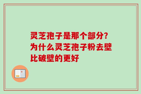 灵芝孢子是那个部分？为什么灵芝孢子粉去壁比破壁的更好