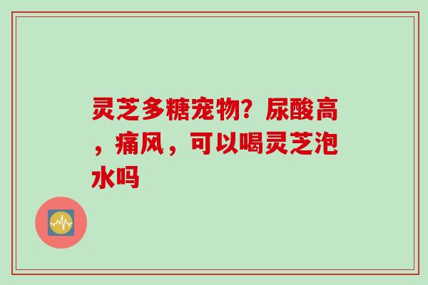 灵芝多糖宠物？尿酸高，痛风，可以喝灵芝泡水吗