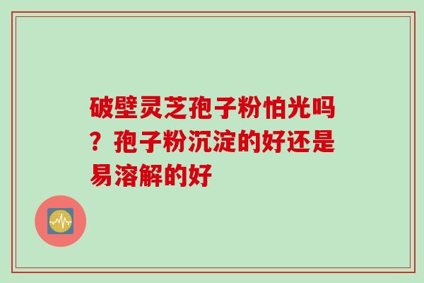 破壁灵芝孢子粉怕光吗？孢子粉沉淀的好还是易溶解的好
