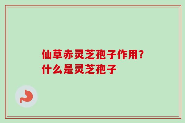 仙草赤灵芝孢子作用？什么是灵芝孢子