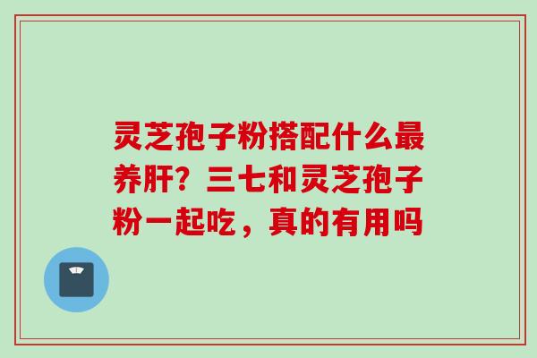 灵芝孢子粉搭配什么最养肝？三七和灵芝孢子粉一起吃，真的有用吗