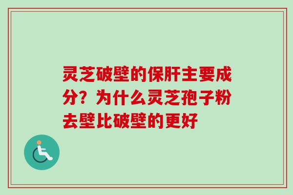 灵芝破壁的保肝主要成分？为什么灵芝孢子粉去壁比破壁的更好