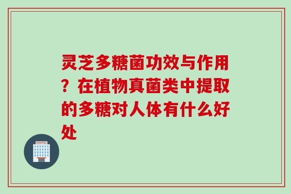 灵芝多糖菌功效与作用？在植物真菌类中提取的多糖对人体有什么好处