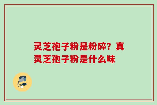 灵芝孢子粉是粉碎？真灵芝孢子粉是什么味