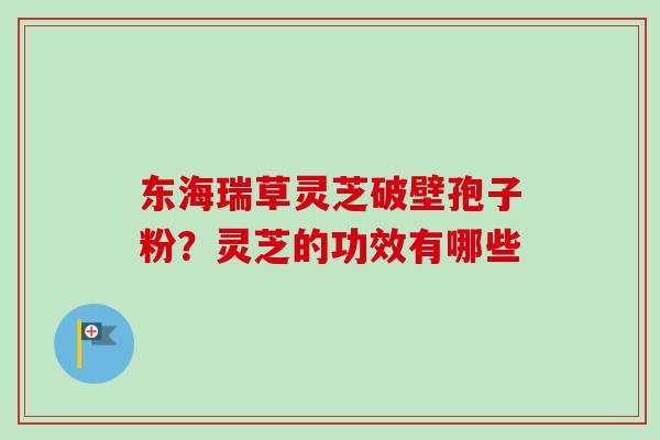 东海瑞草灵芝破壁孢子粉？灵芝的功效有哪些