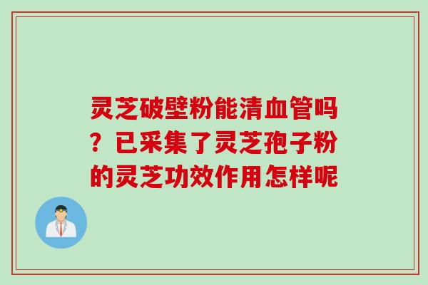 灵芝破壁粉能清血管吗？已采集了灵芝孢子粉的灵芝功效作用怎样呢