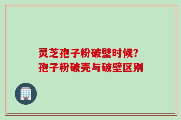 灵芝孢子粉破壁时候？孢子粉破壳与破壁区别