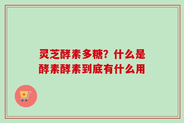 灵芝酵素多糖？什么是酵素酵素到底有什么用