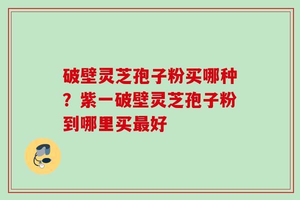 破壁灵芝孢子粉买哪种？紫一破壁灵芝孢子粉到哪里买最好