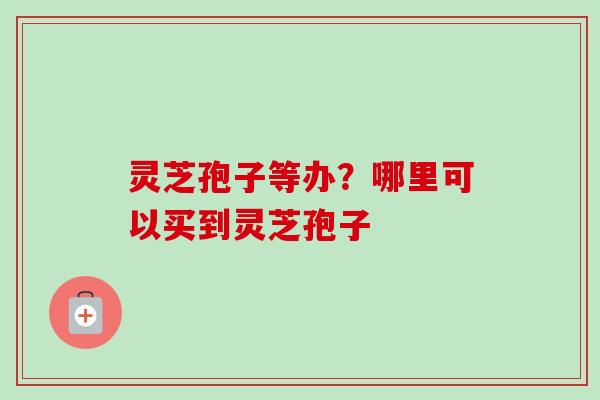 灵芝孢子等办？哪里可以买到灵芝孢子