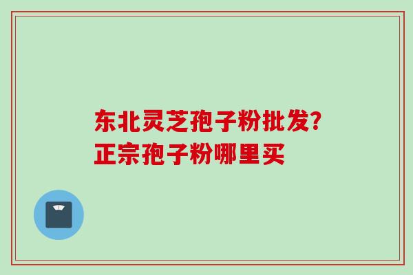 东北灵芝孢子粉批发？正宗孢子粉哪里买
