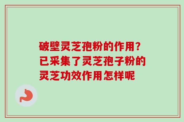 破壁灵芝孢粉的作用？已采集了灵芝孢子粉的灵芝功效作用怎样呢