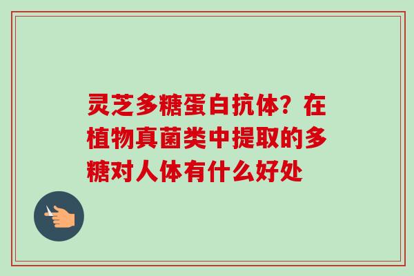 灵芝多糖蛋白抗体?在植物真菌类中提取的多糖对人体有什么好处 灵芝多糖蛋白抗体?在植物真菌类中提取的多糖对人体有什么好处