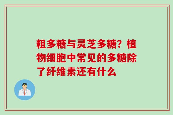 粗多糖与灵芝多糖?植物细胞中常见的多糖除了纤维素还有什么 粗多糖与灵芝多糖?植物细胞中常见的多糖除了纤维素还有什么