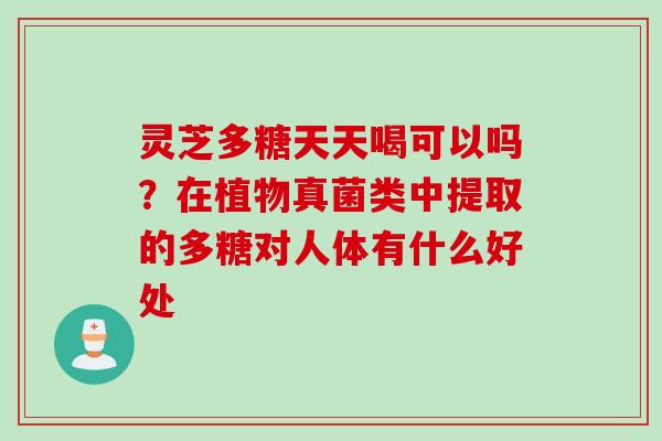 灵芝多糖天天喝可以吗？在植物真菌类中提取的多糖对人体有什么好处