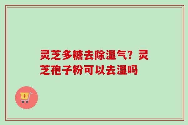 灵芝多糖去除湿气？灵芝孢子粉可以去湿吗