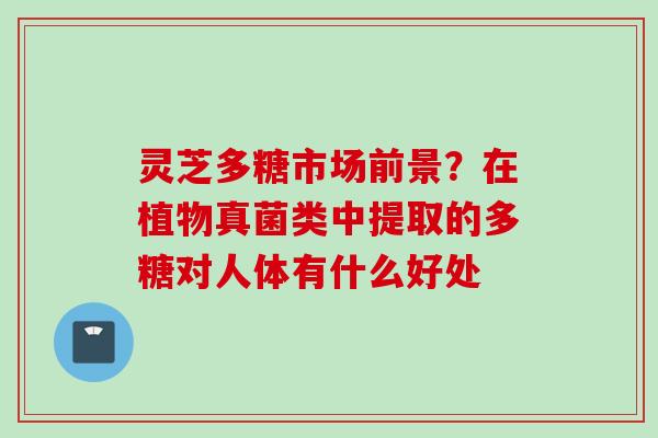 灵芝多糖市场前景？在植物真菌类中提取的多糖对人体有什么好处