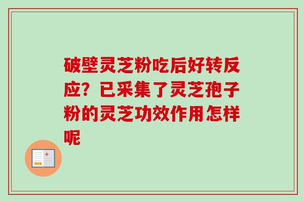 破壁灵芝粉吃后好转反应？已采集了灵芝孢子粉的灵芝功效作用怎样呢