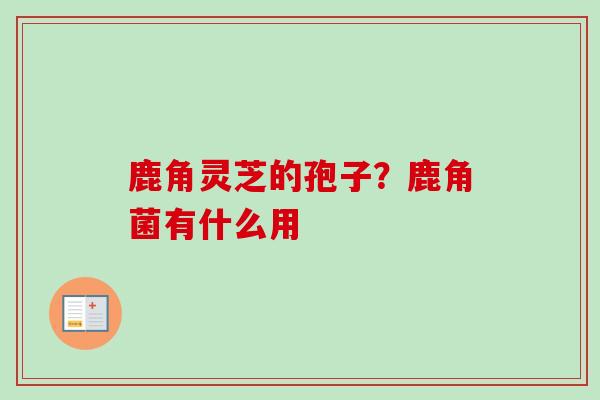 鹿角灵芝的孢子？鹿角菌有什么用