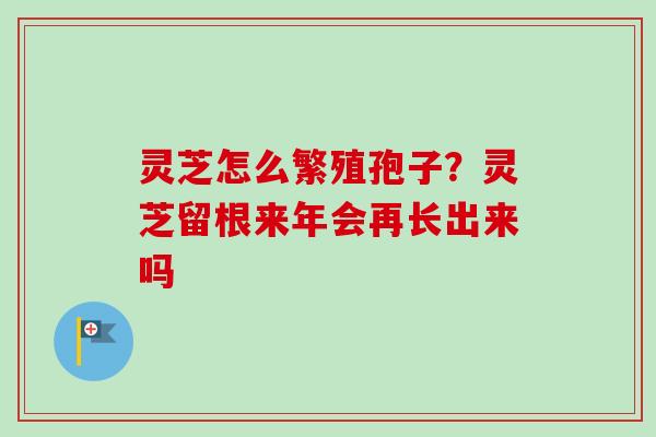 灵芝怎么繁殖孢子？灵芝留根来年会再长出来吗