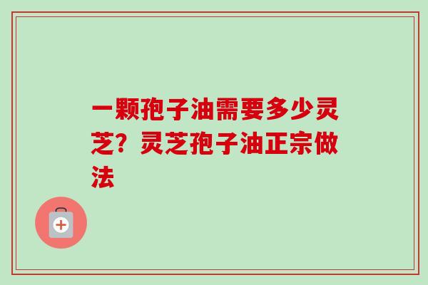 一颗孢子油需要多少灵芝？灵芝孢子油正宗做法