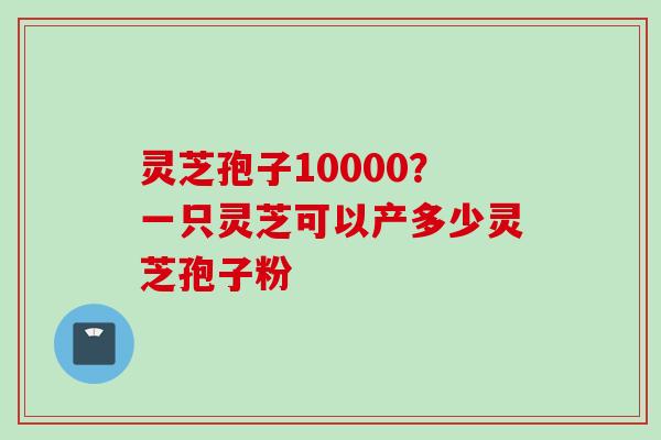 灵芝孢子10000？一只灵芝可以产多少灵芝孢子粉