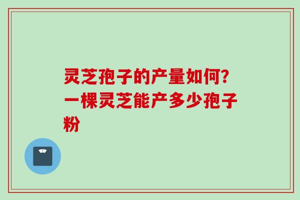 灵芝孢子的产量如何？一棵灵芝能产多少孢子粉