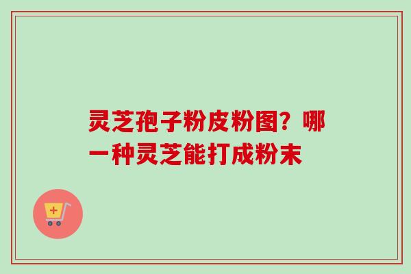 灵芝孢子粉皮粉图？哪一种灵芝能打成粉末