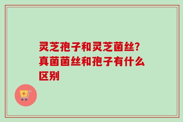 灵芝孢子和灵芝菌丝？真菌菌丝和孢子有什么区别