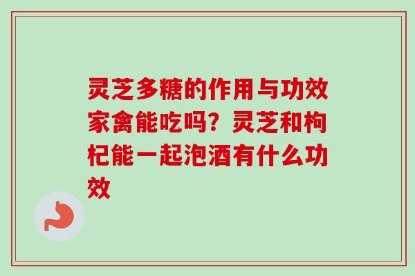 灵芝多糖的作用与功效家禽能吃吗？灵芝和枸杞能一起泡酒有什么功效