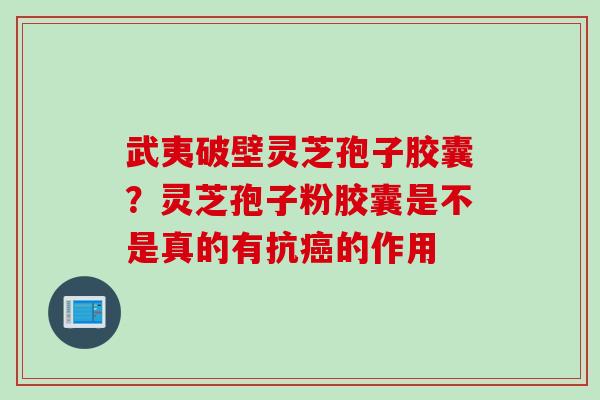 武夷破壁灵芝孢子胶囊?灵芝孢子粉胶囊是不是真的有抗的作用 武夷破壁灵芝孢子胶囊?灵芝孢子粉胶囊是不是真的有抗的作用