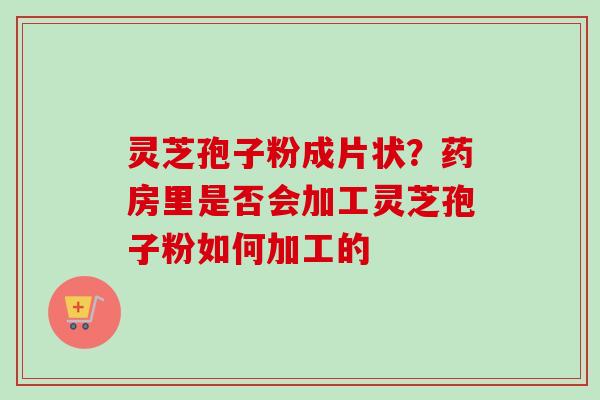 灵芝孢子粉成片状？药房里是否会加工灵芝孢子粉如何加工的