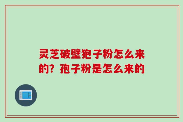 灵芝破壁狍子粉怎么来的？孢子粉是怎么来的