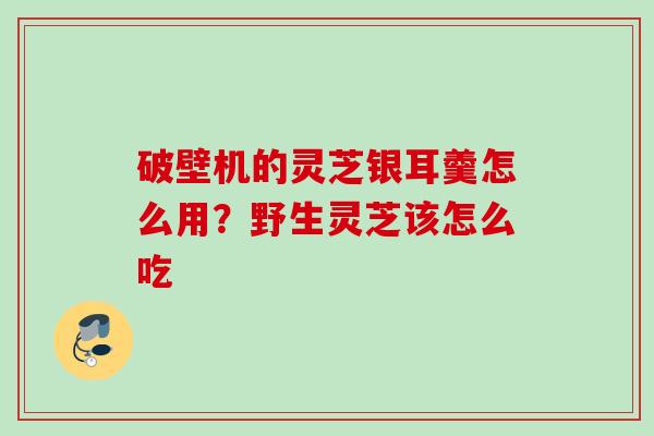 破壁机的灵芝银耳羹怎么用？野生灵芝该怎么吃