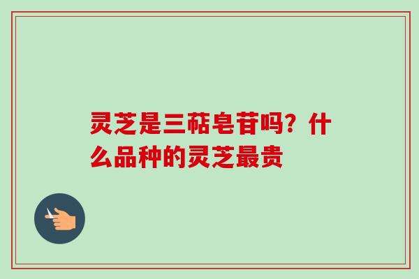 灵芝是三萜皂苷吗？什么品种的灵芝最贵