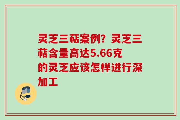 灵芝三萜案例？灵芝三萜含量高达5.66克的灵芝应该怎样进行深加工