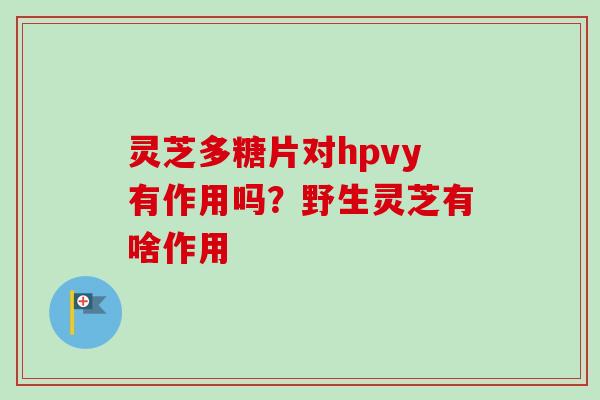 灵芝多糖片对hpvy有作用吗？野生灵芝有啥作用