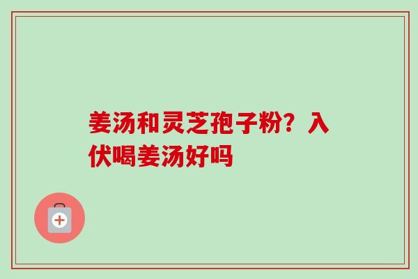 姜汤和灵芝孢子粉?入伏喝姜汤好吗 姜汤和灵芝孢子粉?入伏喝姜汤好吗