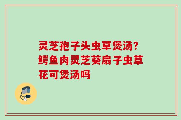 灵芝孢子头虫草煲汤？鳄鱼肉灵芝葵扇子虫草花可煲汤吗