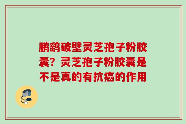 鹏鹞破壁灵芝孢子粉胶囊？灵芝孢子粉胶囊是不是真的有抗癌的作用